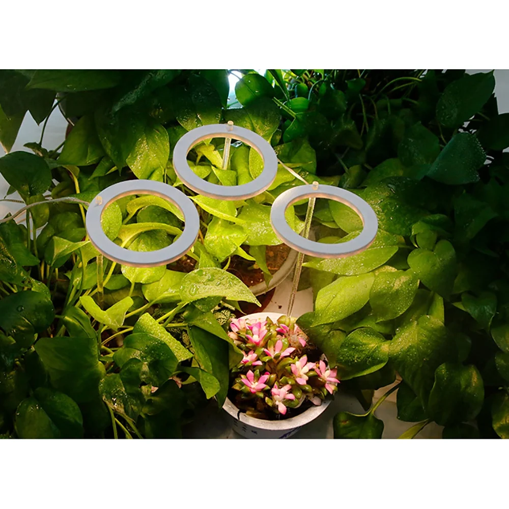 Full Spectrum Wavelength Double Switch Plants Light 2000w Led Grow Light For Hydroponic Indoor Plants Veg And Flower