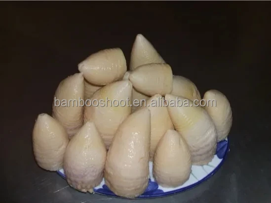 New Season Fresh Organic Bamboo Shoots IQF Boiled in Water Preserved Vegetables 18L Cans