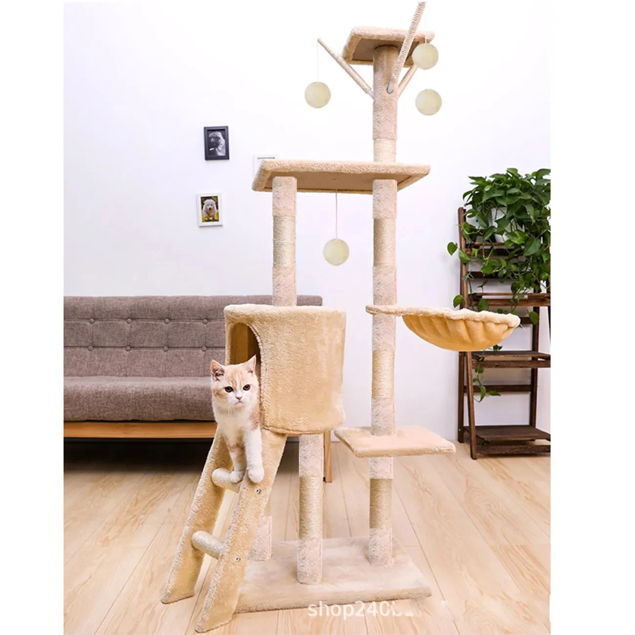 Kin Pet 2024 New Arrival Wooden Cat Wall Shelf Set for Space-Saving and Stylish Home Decoration for Indoor Playing