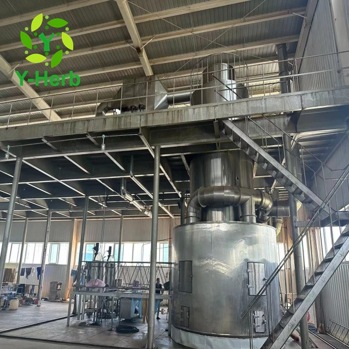 Purple Medic/Medicago Sativa Linn Extract Powder Saponin Powder 10:1 Medicago Sativa/Lucerne/Alfalfa Extract