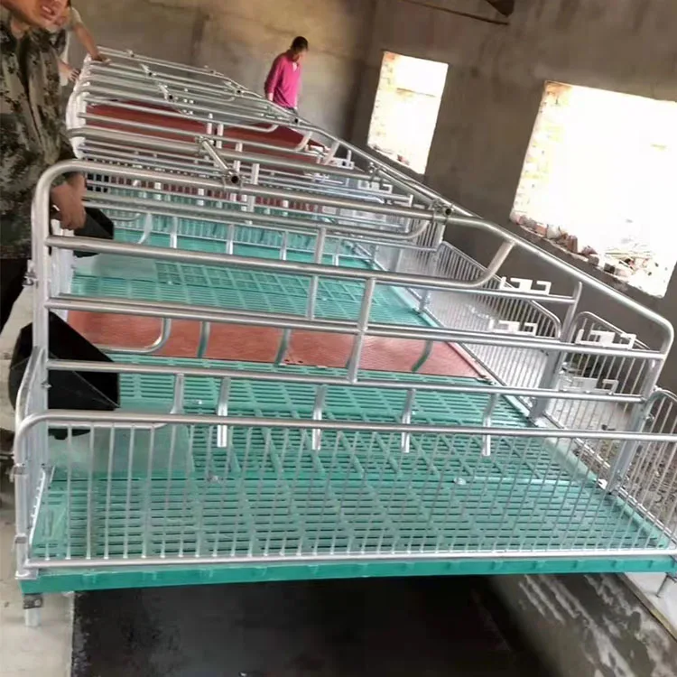 Animal cage European type  pig farming equipment double pig farrowing crate pig cages