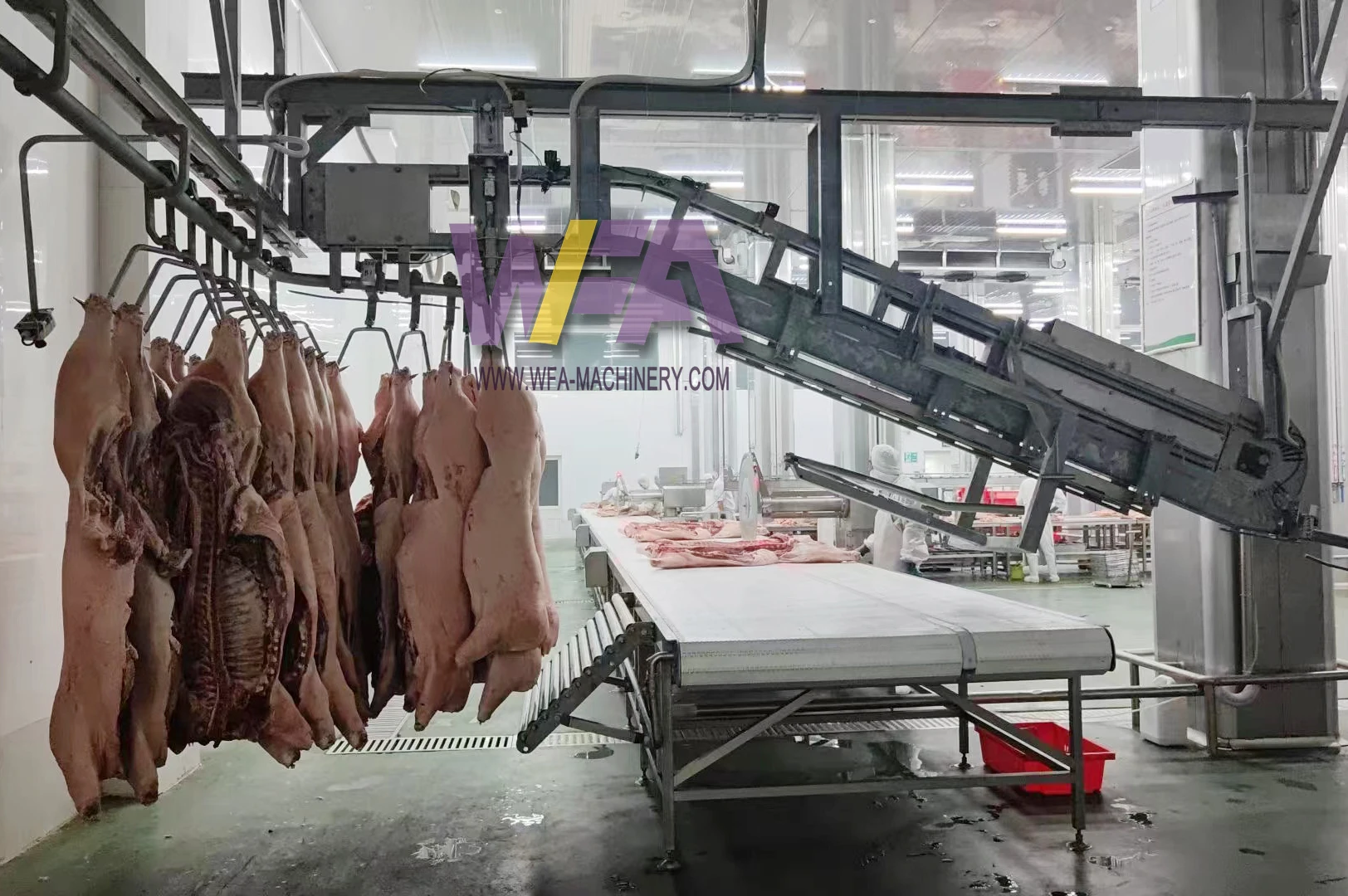 Design Small Meat Slaughter House 50 Hog Pig Abattoir Pork Line Equipment