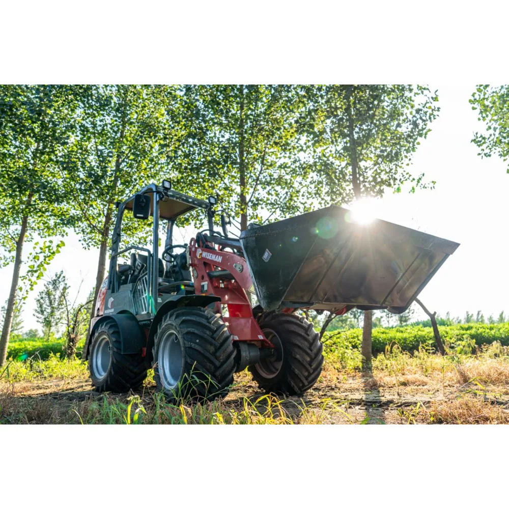WISEMAN CE EPA 1 тонна 8 тонн 2 5 тонны компактный Китайский многофункциональный маленький Телескопический фронтальный погрузчик для продажи сделано в Китае