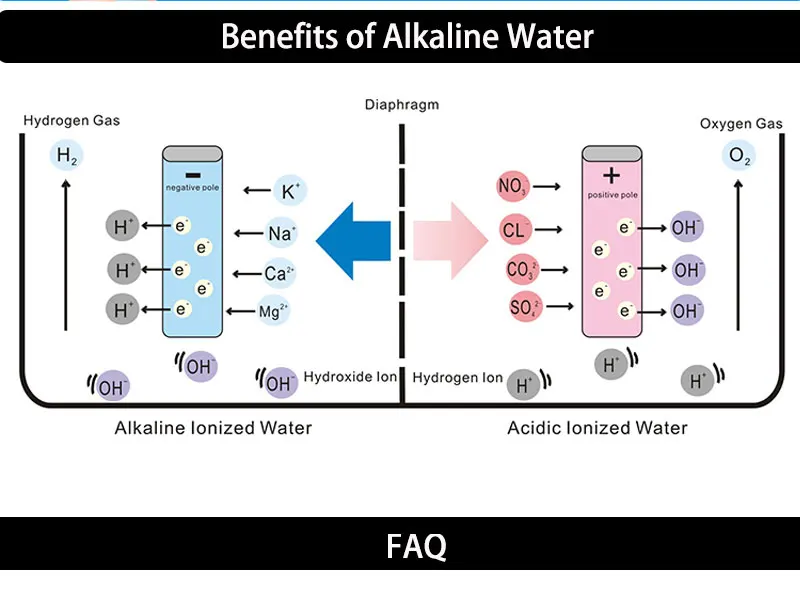 alkaline-water-ionizer_13.jpg