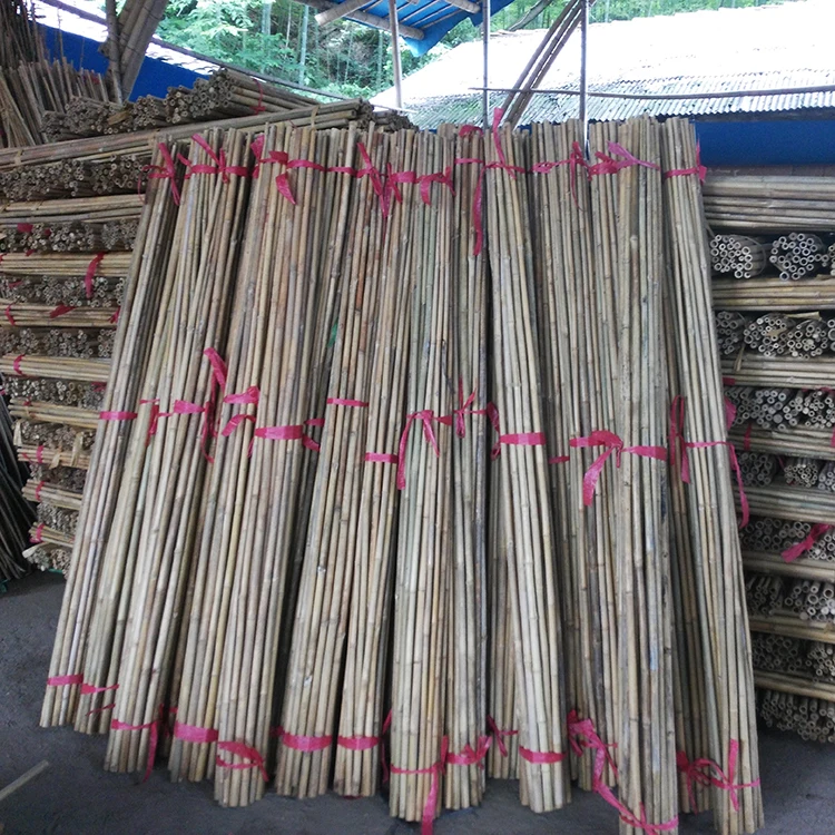 High Quality Natural Bamboo Cane 500cm Best Selling Wholesale Raw Bamboo Materials Chinese Manufacturer