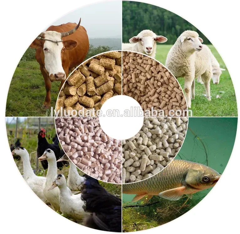 1-2t/h factory price cattle feed pellet production line/animal feed processing machine/livestock feed pellet plant for sale