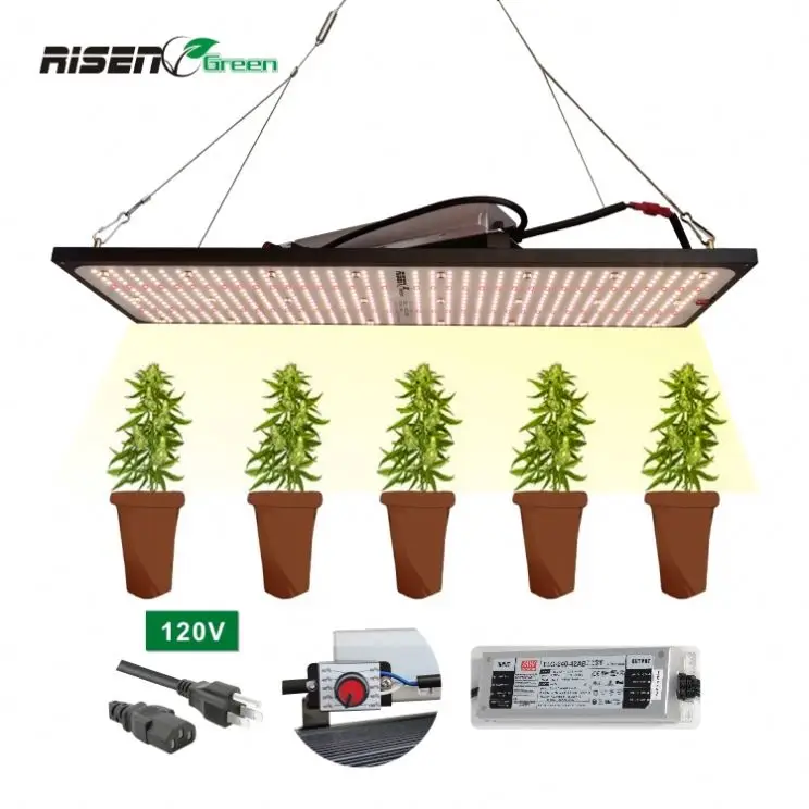 Предварительно собранный гидропонный полный спектр 240 Вт samsung lm301b lm301h Квантовая Светодиодная доска для выращивания с диммером