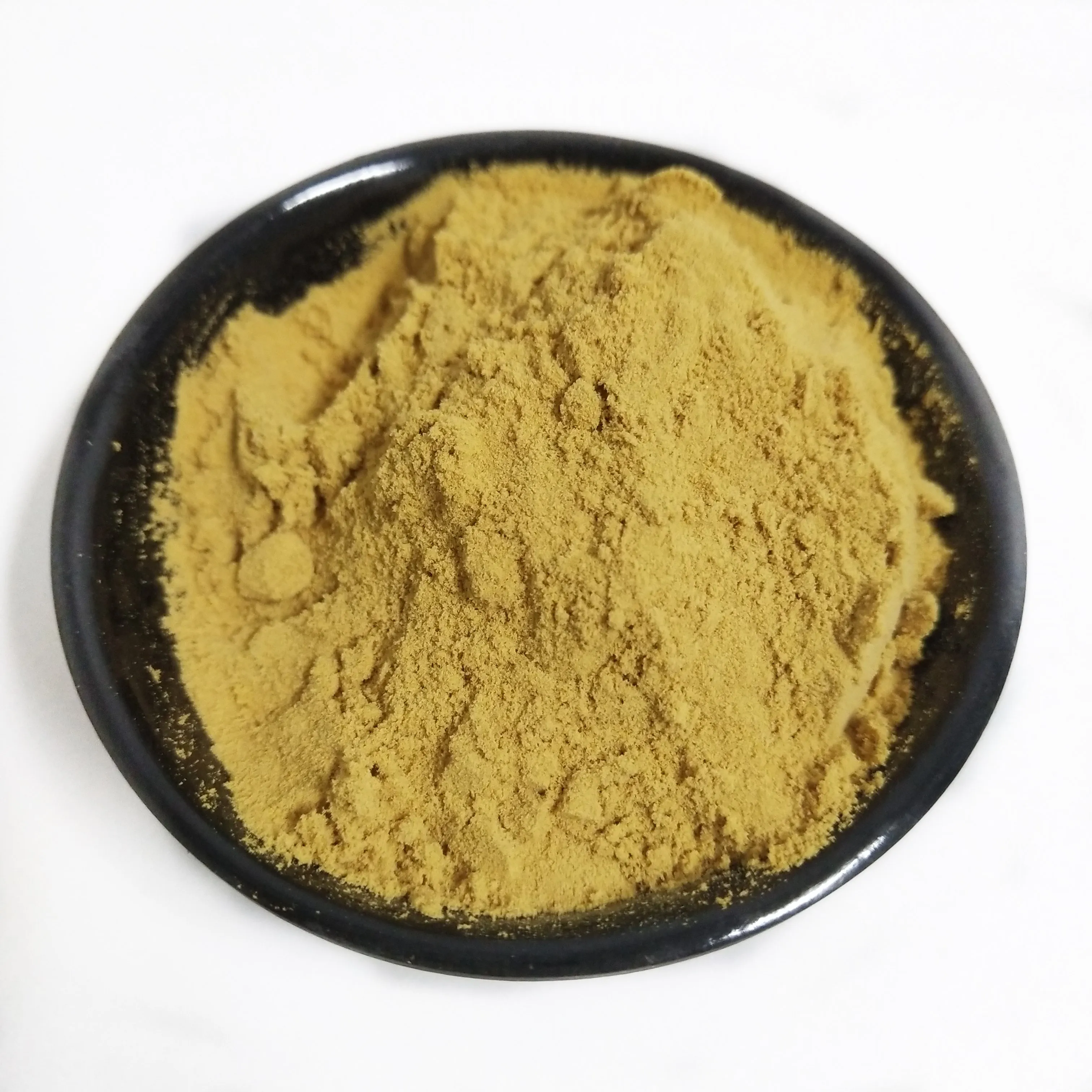 Левиная грива, двойной экстракт грибов, порошок, экстракт Львиной гривы