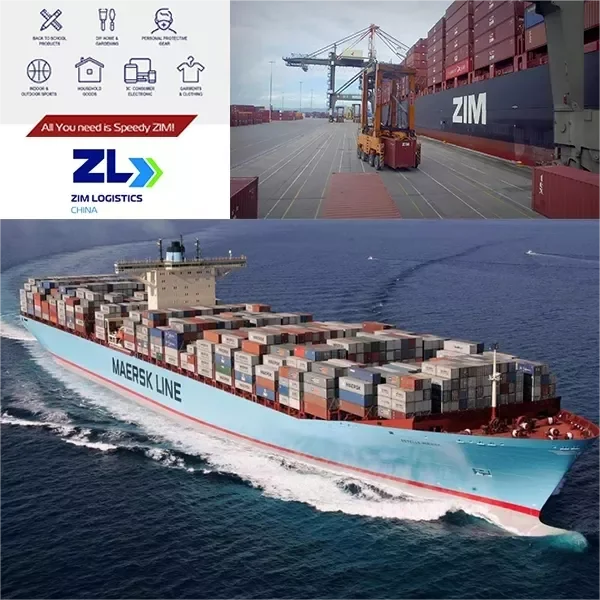 Amazon FBA by Sea Shipping 20FT 40FT Fresh Reefer Container Ocean Freight Forwarder Logistic DDP Service China To Canada UK USA