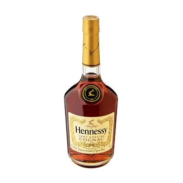 100% high quality delicious and affordable wine bags for bottles Supplier