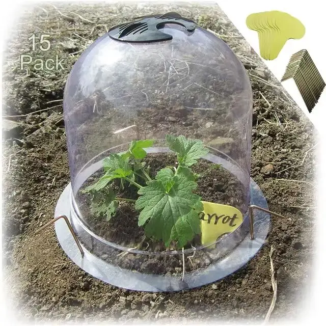 Manufacturer Price Greenhouse Protector Cloche Plant Bell Cover For Sale