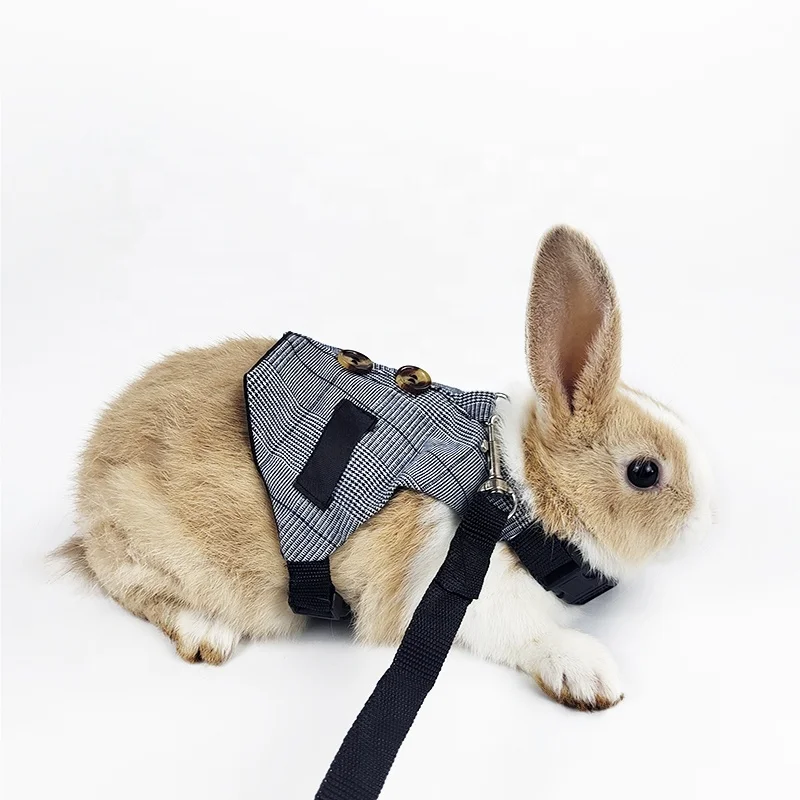 Filhome Adjustable Rabbit Bunny Harness and Leash Set, Rabbit Bunny Clothes Outfit for Ferret Guinea Pig Rabbit Bunny Hamster