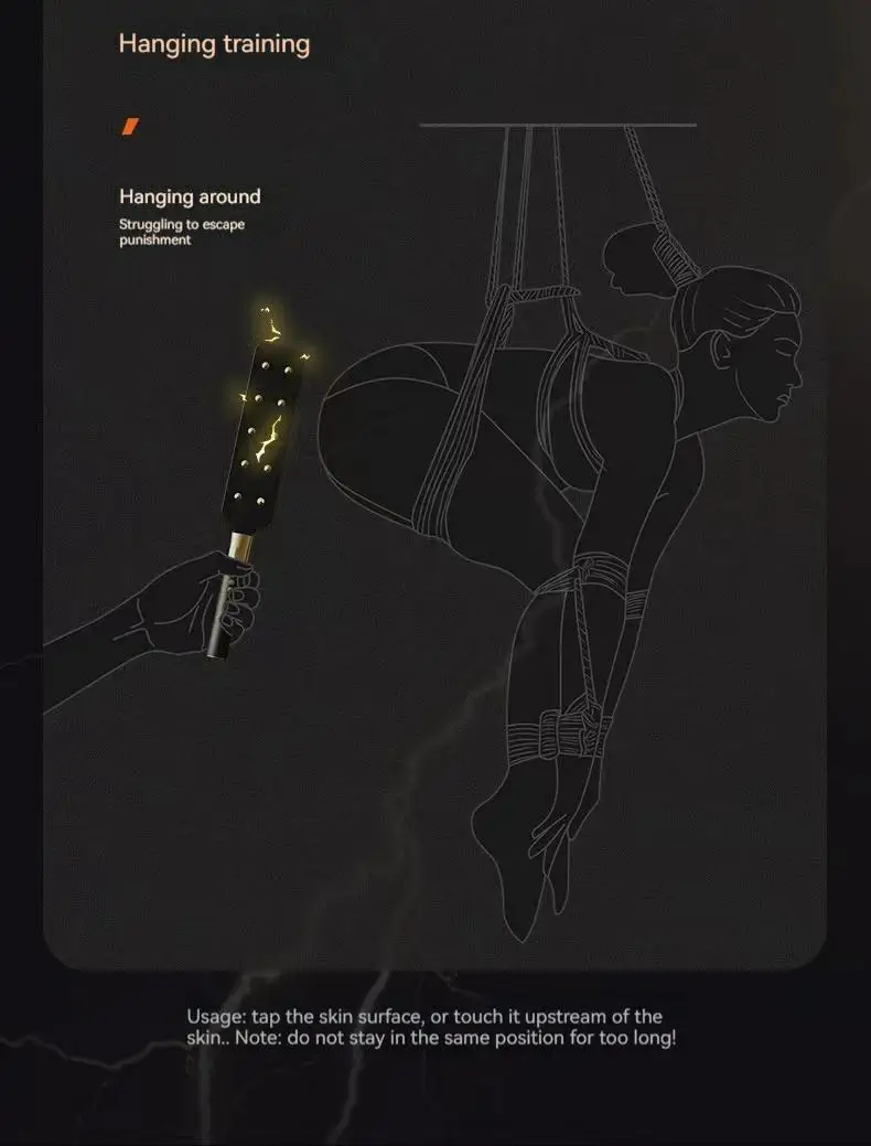 BDSM Sex Toys Erotica Queen Training Masochism Whip Stunner  k9  sex toys