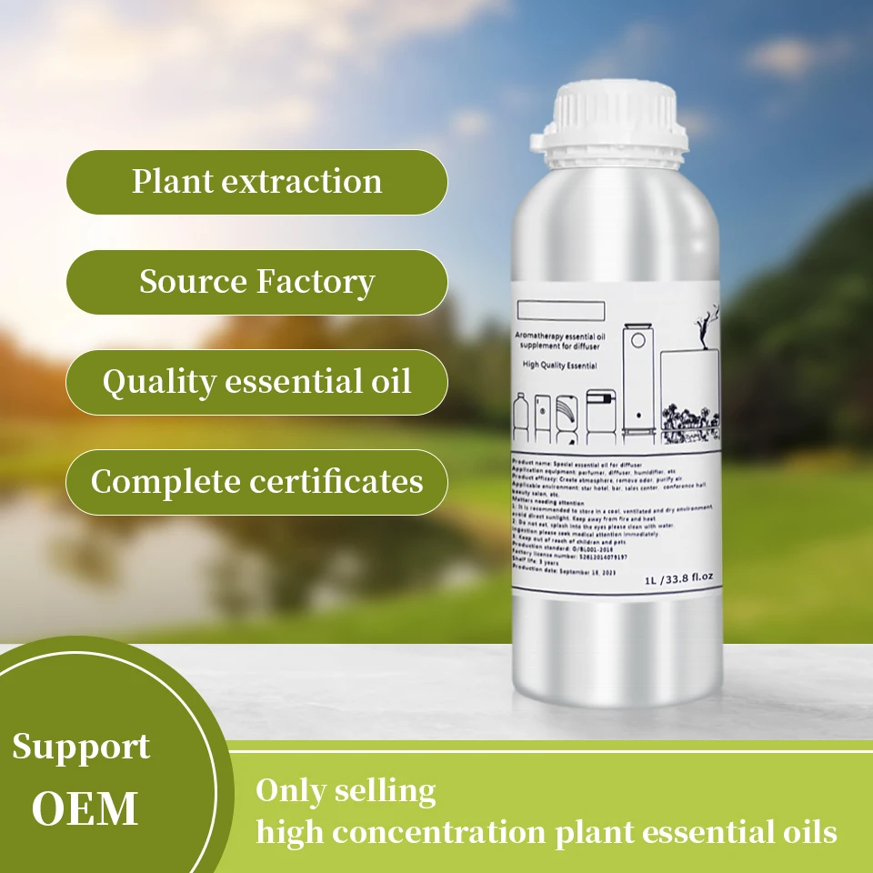 1000ML Encounters diffuser essential oil for hotel and shopping mall diffuser essential oil for ultrasonic atomizer