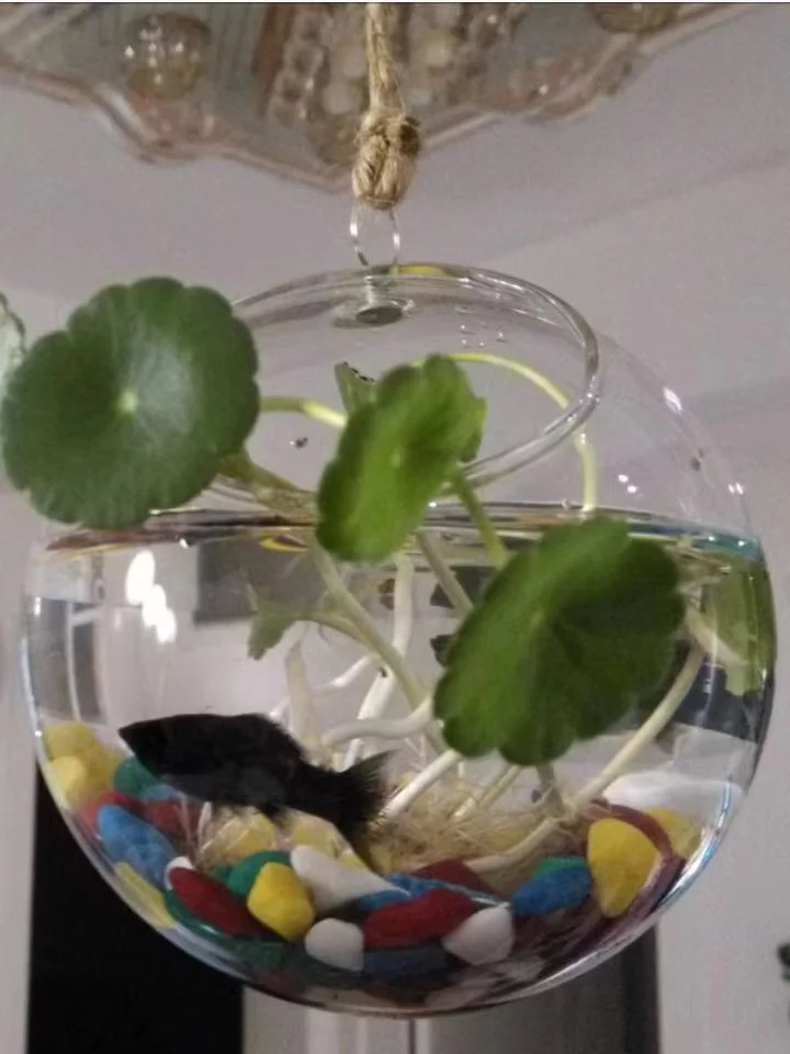 Clear round glass vase with hole made in China