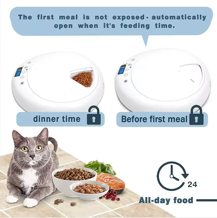 Six Parts product water dog food dispenser smart pet automatic feeder pet product dog water dispenser