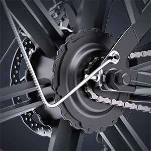 Best Selling Two-Wheel Electric Bicycle Families Long Tail 15ah Lithium Battery Rear Hub Motor Aluminum Cargo Bike Delivery