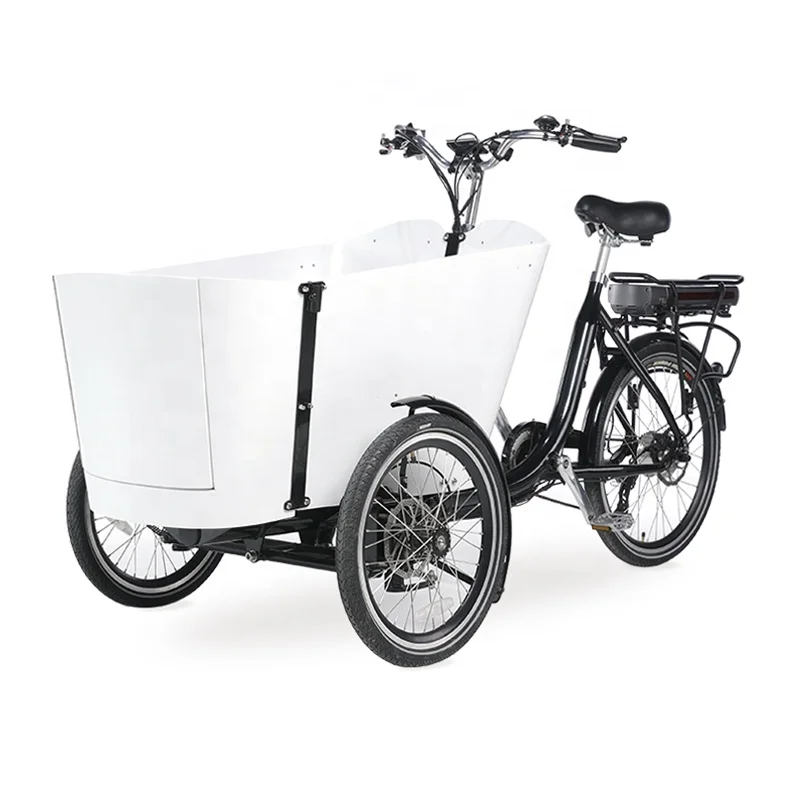 2022 New Design Velomobile Trike Electric Cargo Bike Electric Driving Type 250W Motor Three Wheel Cargo Tricycle