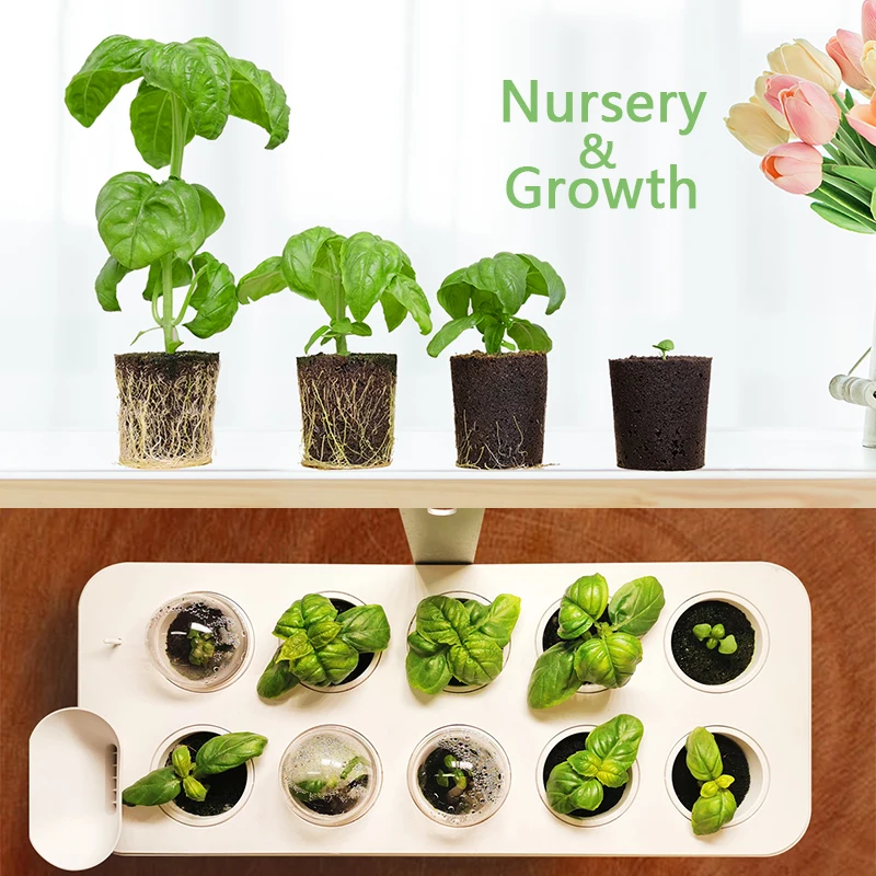 J&C Smart Soil with nutrition 10 pieces/set  peat pot nutrition coconut peat soil block