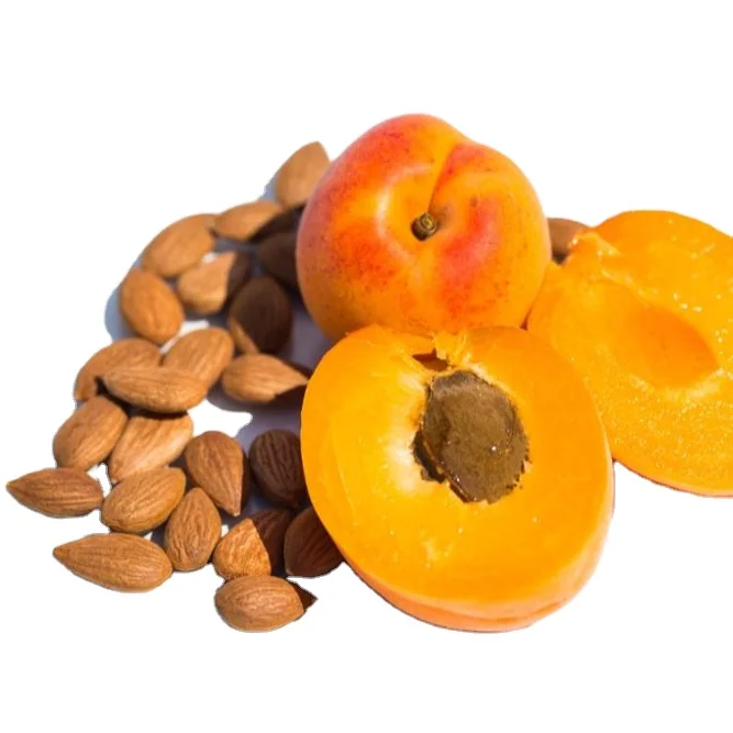 Raw Organic Bitter and Sweet/ bitter Apricot Kernels Good quality raw apricot kernels