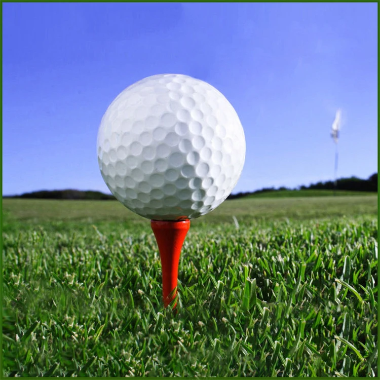 Custom Wholesale 2 Layers Surlyn Golf Range Balls Dimples with Good Quality For Golf Course