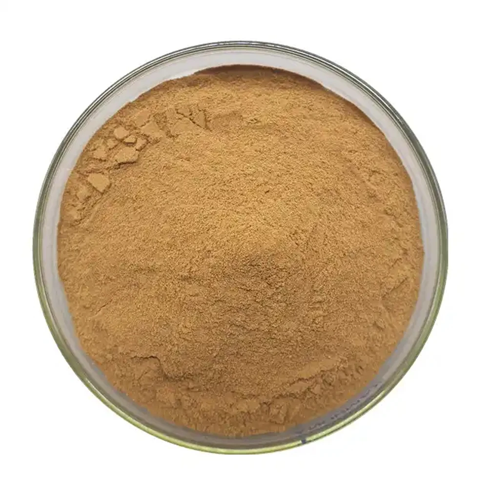 High Quality Polysaccharide 30% Oyster Mushroom Extract