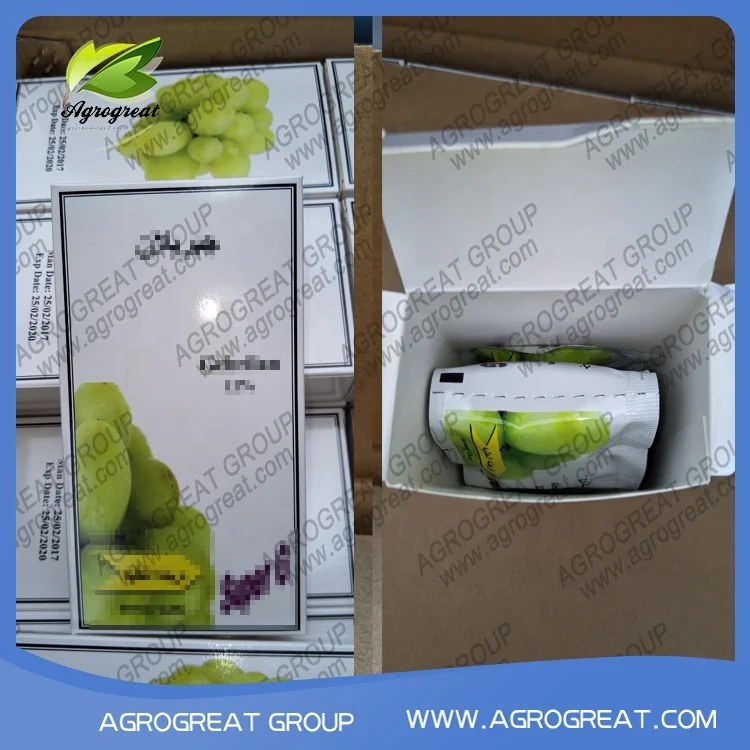 Agrogreat hot selling  Plant Growth Regulator GA3 95%TC, 90%TC, 10% tablet,5% tablet