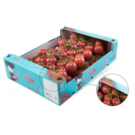 High Quality Cheap Paper Packaging Fruit Tomato Vegetables Shipping Corrugated Tomato Carton Boxes for Shipping