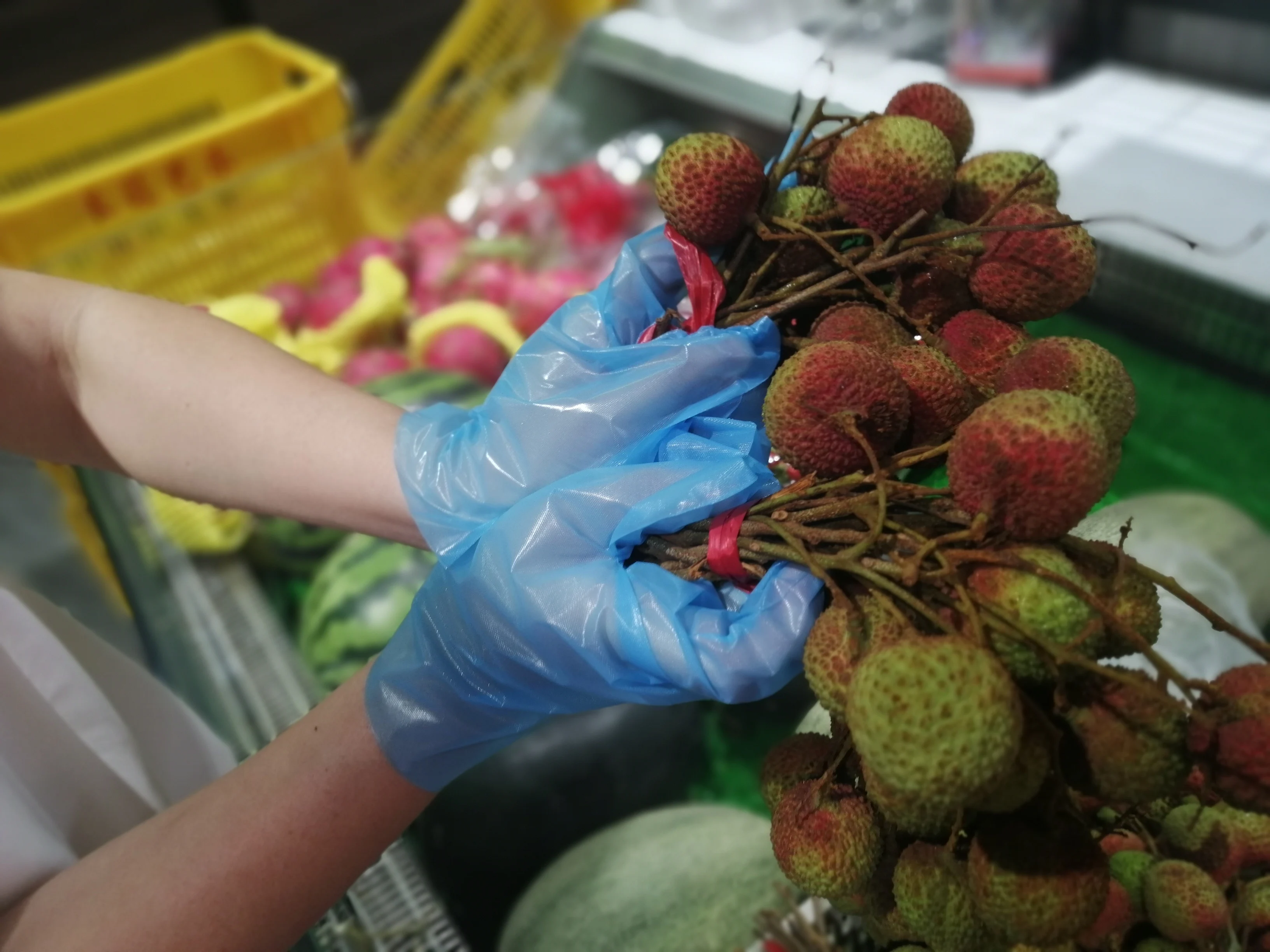 Powder Free Hybrid Food Safe TPE Blue Stretch Gloves Medium (Box of 100)