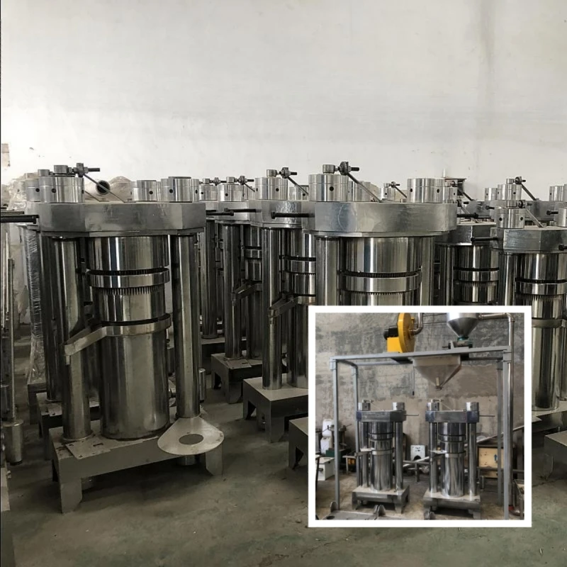 Oil Press for Sale in Morocco Hemp Seed Oil Press Machine Cold Press Oil Extraction Machine