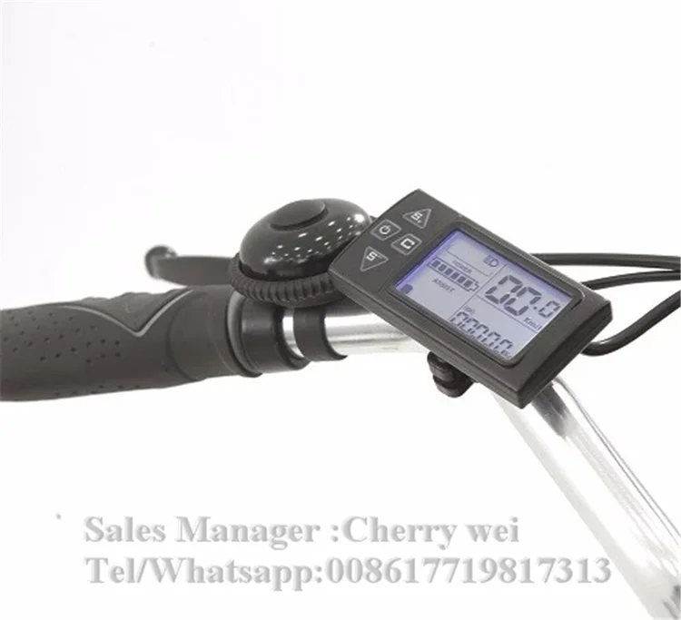 China Loading 200kg cargo bike pickup truck crane three wheel cargo tricycle for sale in philippines malaysia