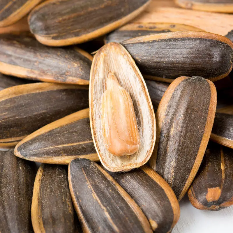 Bulk Wholesale Leisure Snacks Cooked Sunflower Seeds