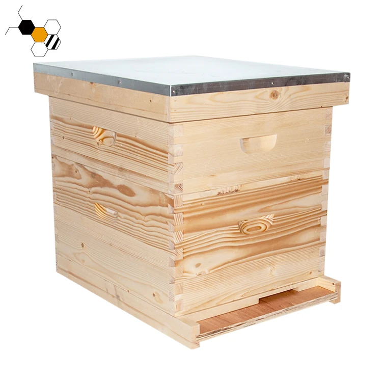 10 Frame Two Layer Bee Box Langstroth Beehive