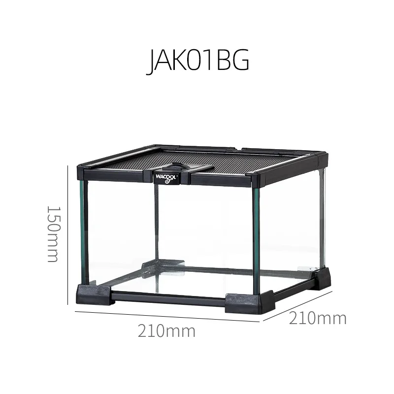 Reptile Glass Terrarium ecological landscape Horned spider guarding palace lizard tortoise glass tank