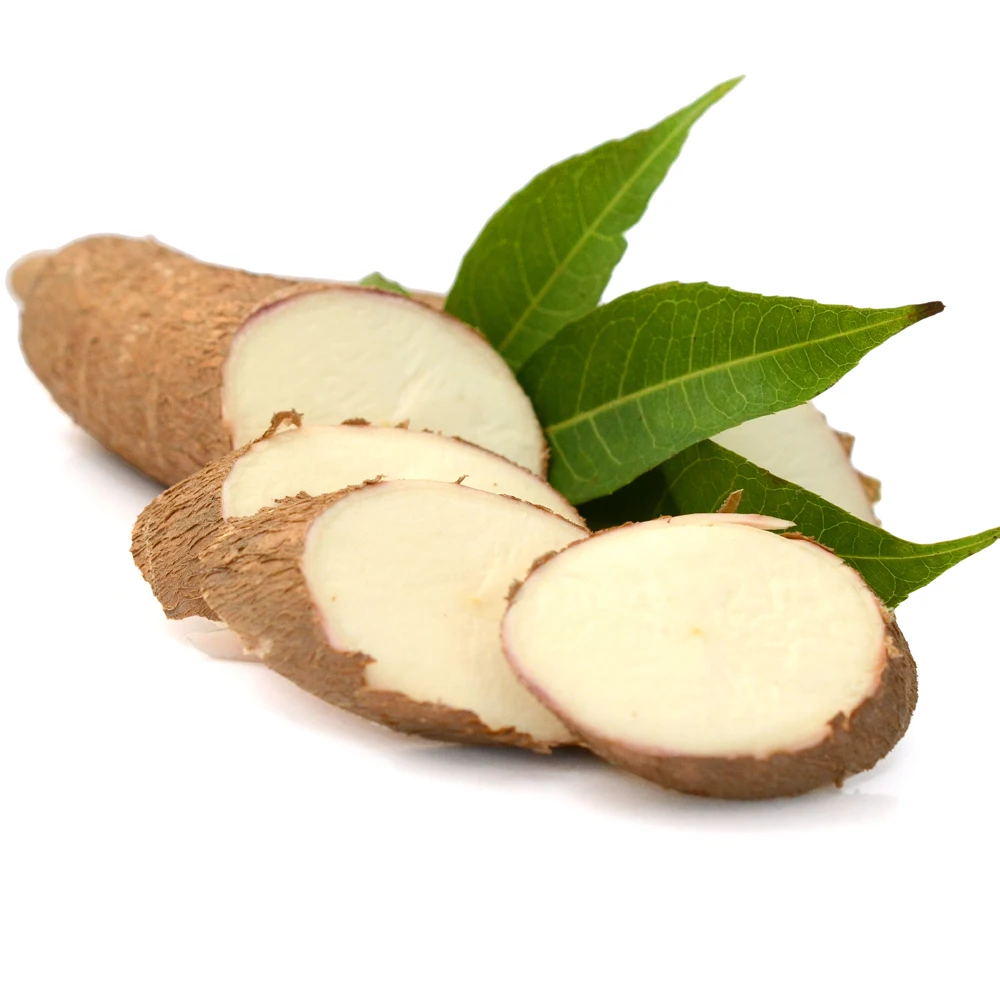 Freshly harvested dried cassava / Raw cassava from Vietnam - Fast logistics and quick response available at the factory