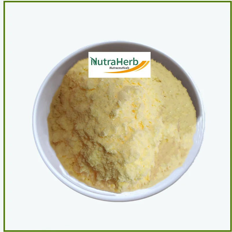 High Quality Supplement Product R Alpha Lipoic Acid Powder DL Thioctic acid