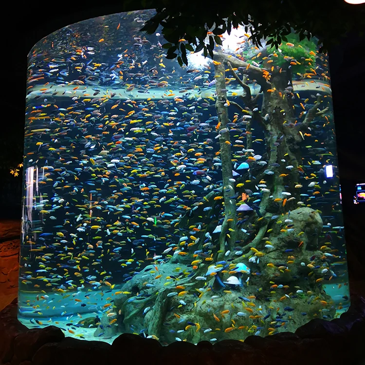 Beautiful And Eco-Friendly Feature Large Piece Clear Giant Aquarium Tank, Huge Size 20-500mm Acrylic Fish Aquarium@