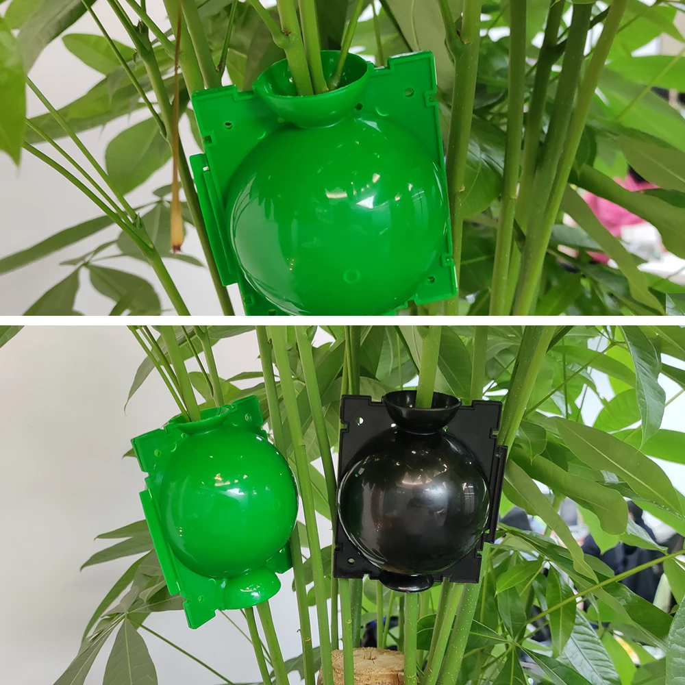 Plant rooting box reusable plant rooting device to assist cutting pressure spreading ball