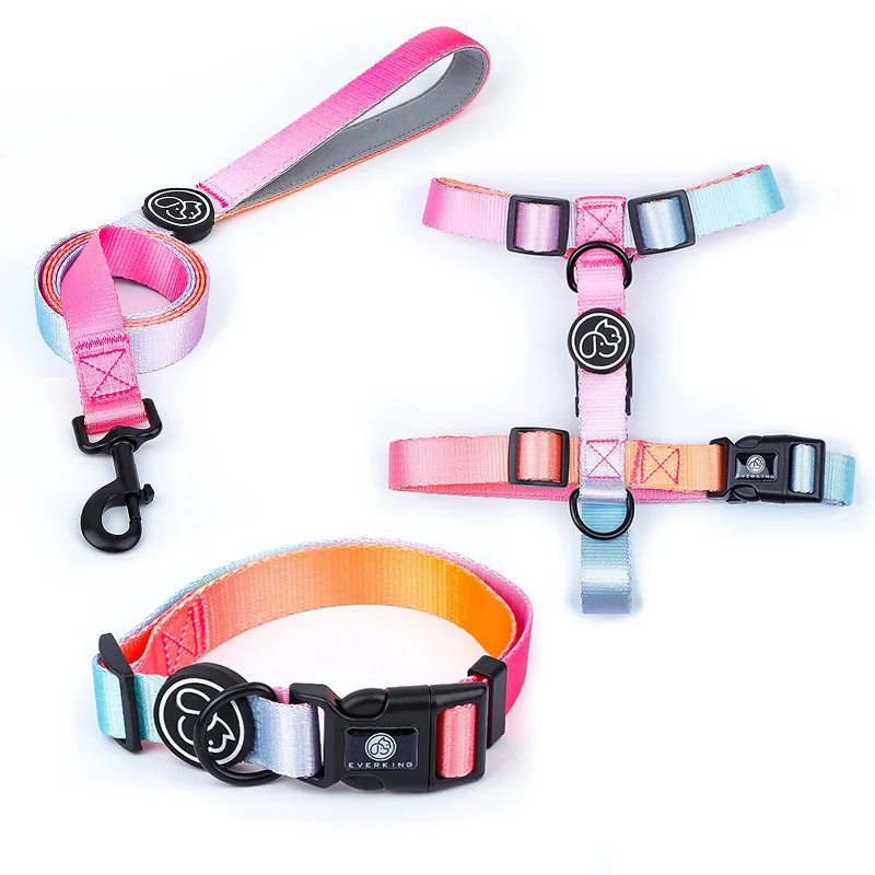 R gradient color high quality dog collar nylon leash and adjustable harness set bravecto for pets