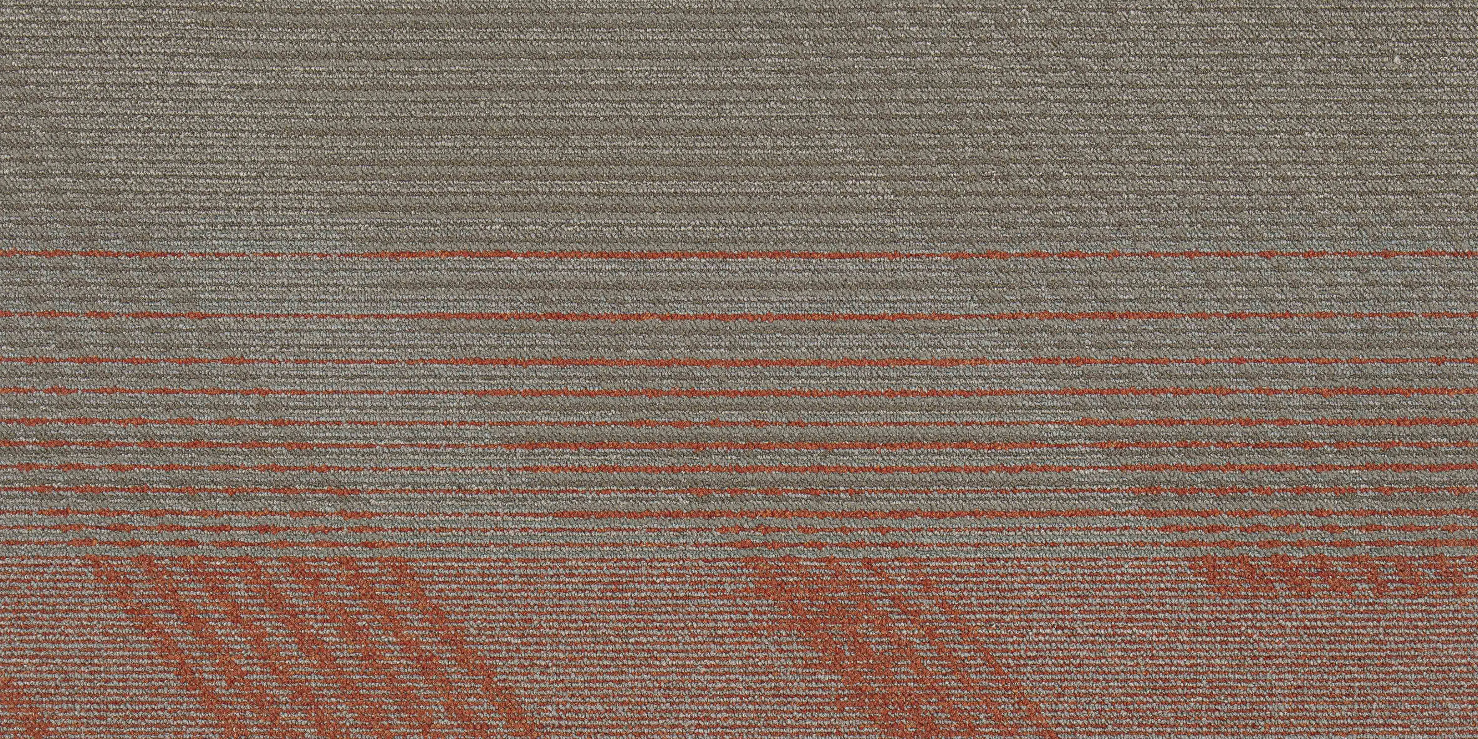 50*100cm Best Design Square Carpet Tile Floor Carpet Tile For Commerical and Residential Use 6.5mm thk