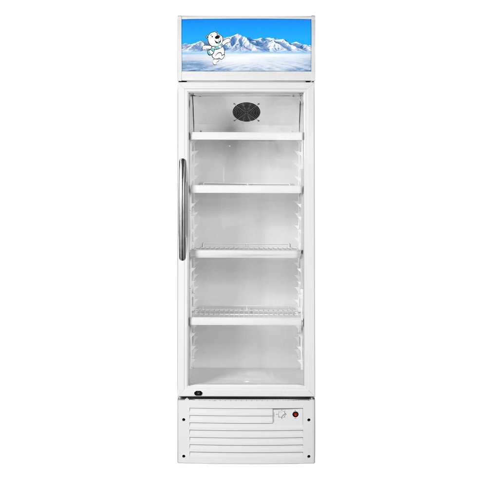 363L Vertical Display Refrigerator Cooler/Beverage Fridge for Beer and Drinks Vertical Showcase