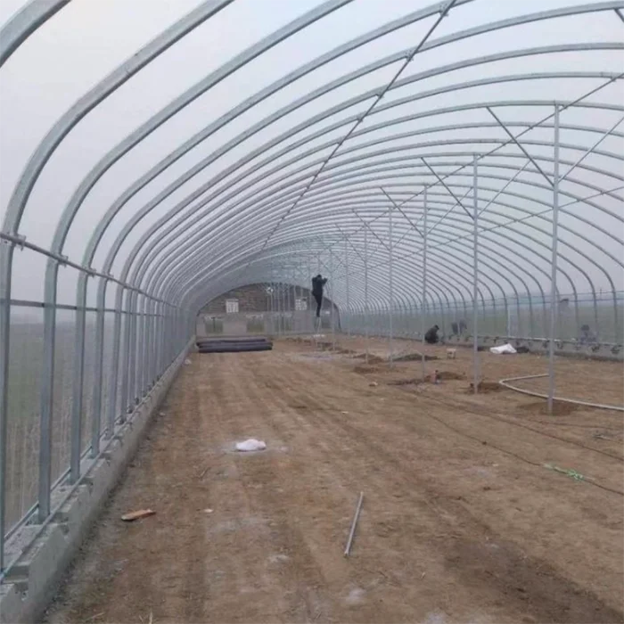 Steel frame chicken shed prefab poultry farm low cost chicken coop houses