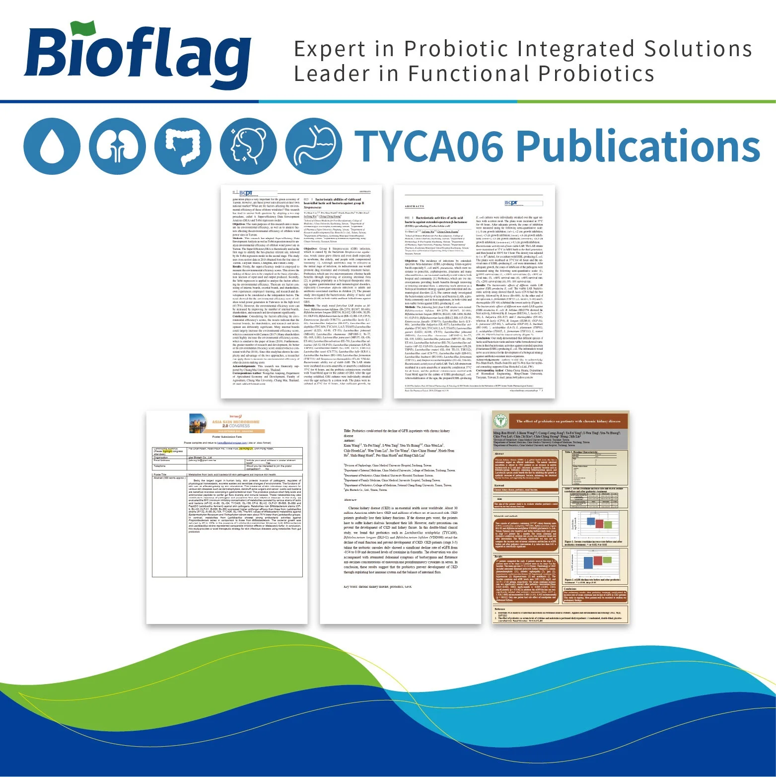 blood sugar control, gut health, kidney health  probiotic Lactobacillus acidophilus TYCA06