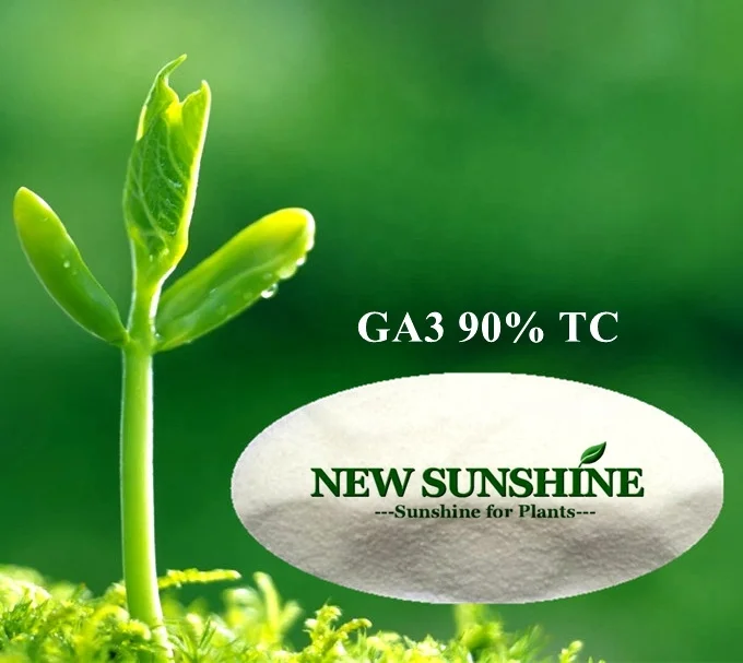 Hot Sale Plant Growth Regulator Gibberellic Acid GA3 Gibberellin 90%TC
