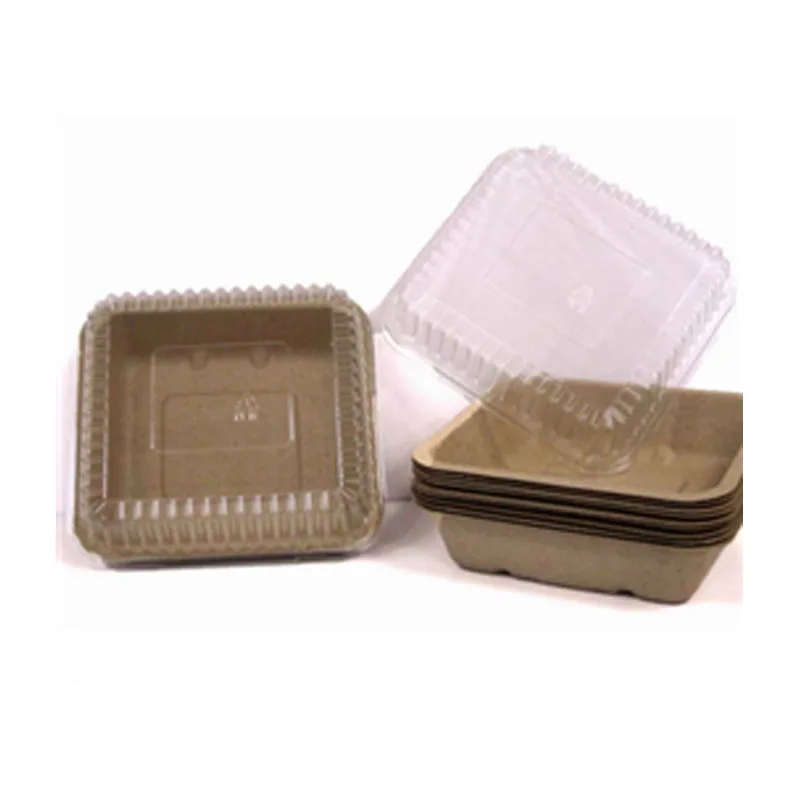 Top Quality 100% Eco-friendly Recyclable Biodegradable Protective Customized Molded Pulp Tray Packaging for Pulp Container