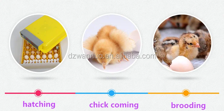 Solar energy incubator 112 eggs birds farming equipment hatching machine