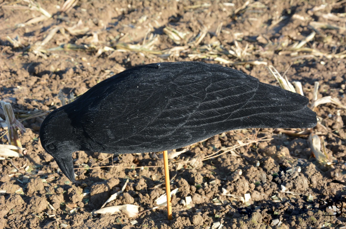 Artificial Crows Wholesale Hunting Crow Decoy Magnum Cradle Crow Foraging In Flocked