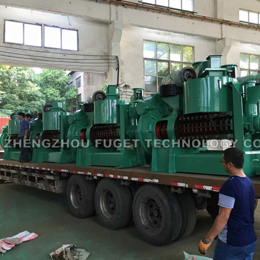 professional factory 204 big screw cold sunflower cotton seeds safflower oil press oil pressing machine