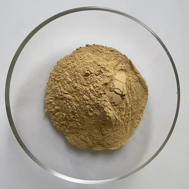Wholesale Price High Quality Plant Extract Ashwagandha Extract Powder 10:1