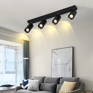 attractive and reasonable price More versatile sand white sand black led 2-wire adapter cob track light